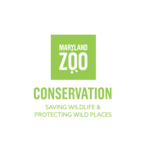 Maryland Zoo in Baltimore logo