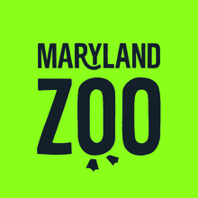 Team Maryland Zoo's avatar