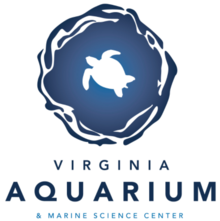 Team Virginia Aquarium Fam - Bam No Plastic Ma'am's avatar