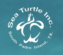 Team Sea Turtle Inc.'s avatar