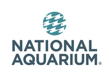 Team National Aquarium's avatar