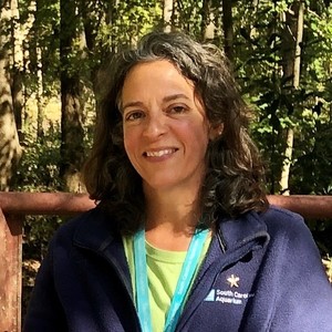 Linda Rowe's avatar